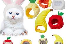 Miglior cappelli per gatti
