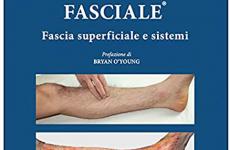 Miglior carla stecco fascia