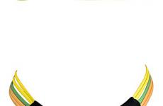 Miglior costume fascia righe
