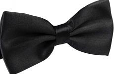 Miglior cravatta o papillon