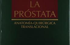 Miglior fascia de denonvilliers anatomia