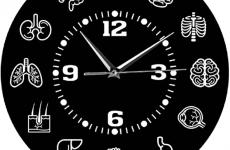 Miglior orologio degli organi del corpo
