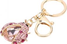 Miglior portachiavi coccinelle