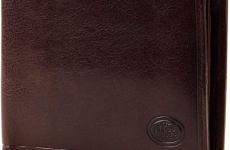 Miglior the bridge portafoglio