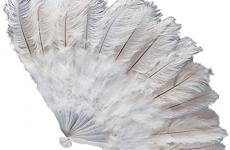 Miglior ventaglio di piume bianco