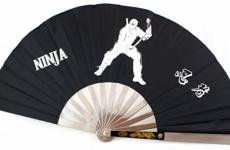 Miglior ventaglio ninja