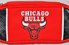 Miglior astuccio jordan