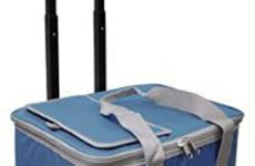 Miglior borsa frigo con ruote