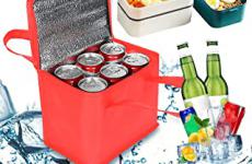 Miglior borsa frigo piccola
