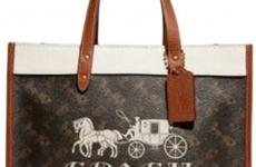 Miglior borse coach shopper